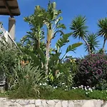 Aeolos Beachfront Family بيت للعطل *