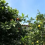 Aeolos Beachfront Family بيت للعطل Kouverta