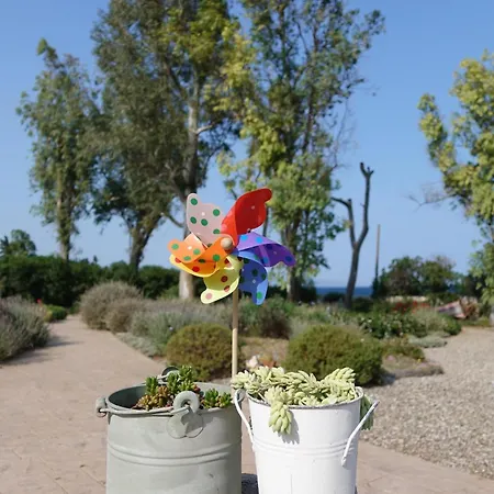 Aeolos Beachfront Family