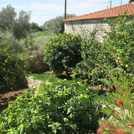 Aeolos Beachfront Family * Kouverta