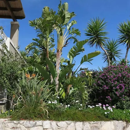 Aeolos Beachfront Family Vakantiehuis *