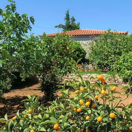 別荘 Aeolos Beachfront Family *