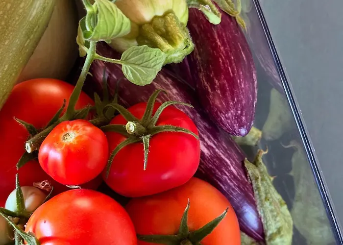 Aeolos Beachfront Family * Kouverta