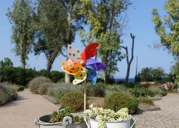 Aeolos Beachfront Family