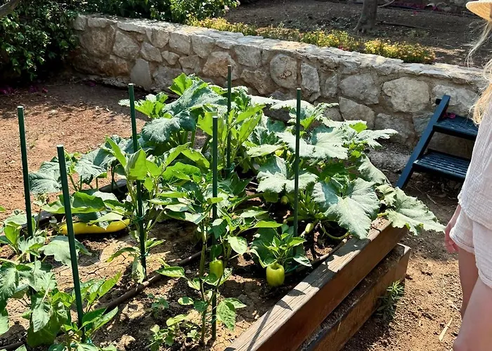 Aeolos Beachfront Family *