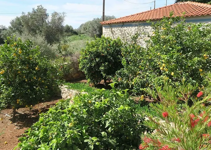 Aeolos Beachfront Family * Kouverta