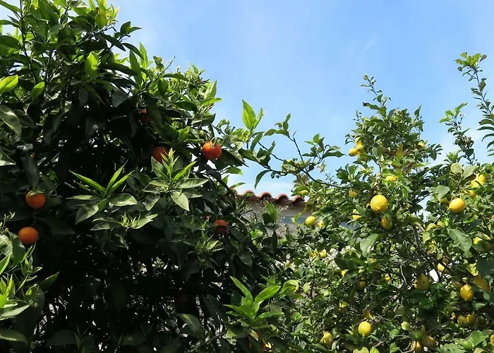 Aeolos Beachfront Family 펜션 Kouverta