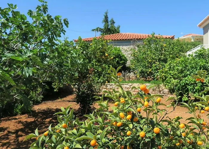 Tatil Evi Aeolos Beachfront Family *